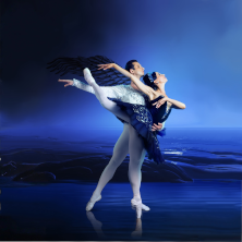 Plakat: Jezioro Łabędzie - Classical Etoile Ballet